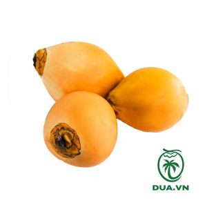 Dừa xiêm đỏ (dừa lửa)